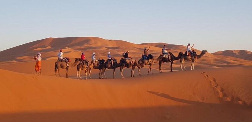 Desert Camp Camel & Sandboarding - Photo2