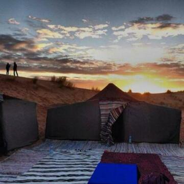 Desert Pearl Camp