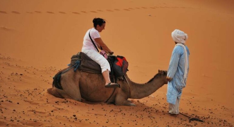 Nirvana Camel Treck - Photo5