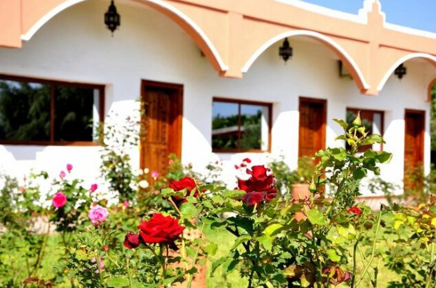Riad Hamdani - Photo2