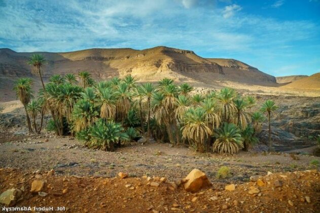 Ecolodge Ouednoujoum Ouarzazate - Photo5