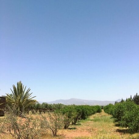 La Ferme Grenadine - Photo2