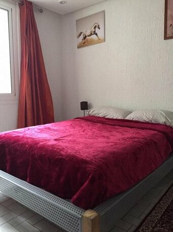 Privat Apartment- Stadt Zentrum Hassan - Photo4