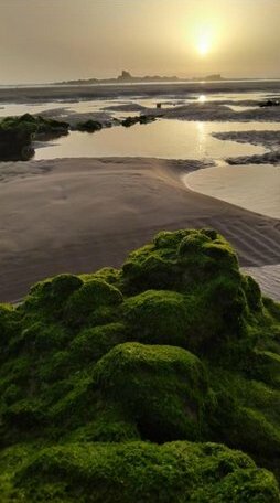 Auberge Sable D'Or - Photo2