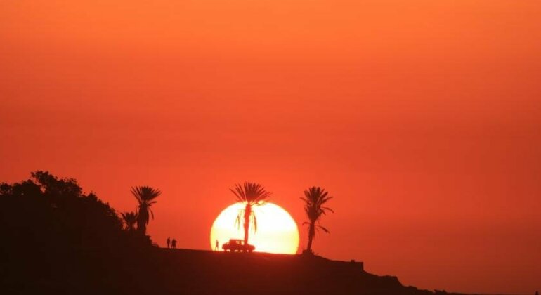 Sunshine Surf Morocco