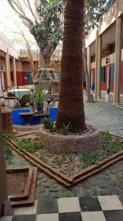 Riad Taroudant Palmiers - Photo2