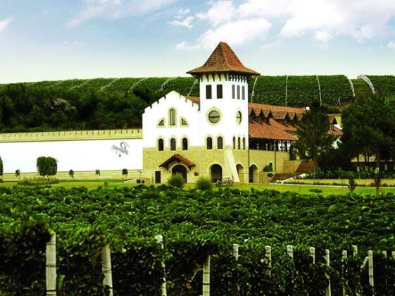 Purcari Winery - Photo2