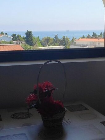 Apartmani Vitic - Photo5