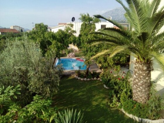 Garden 2 - Photo3