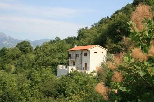 Villa Miela - Photo3