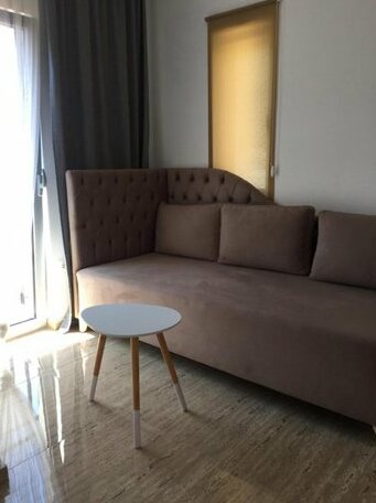 Soheds - Photo4