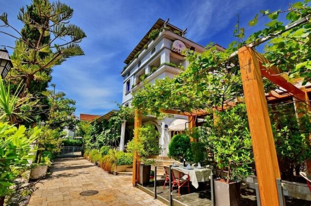 Villa Velzon Guesthouse - Photo2