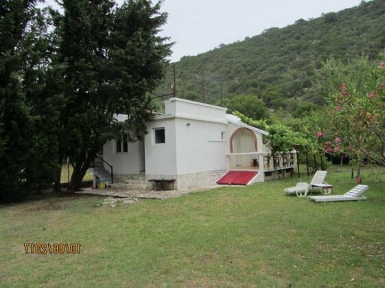 Holiday Home Idyllic Cottage - Photo5