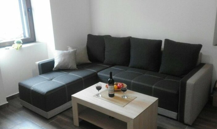 Aleksa - Photo5