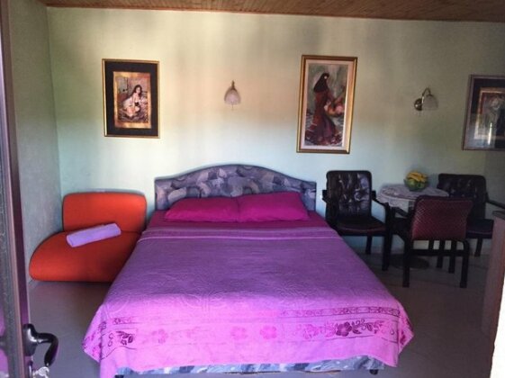 Holiday Home Pavle - Photo5