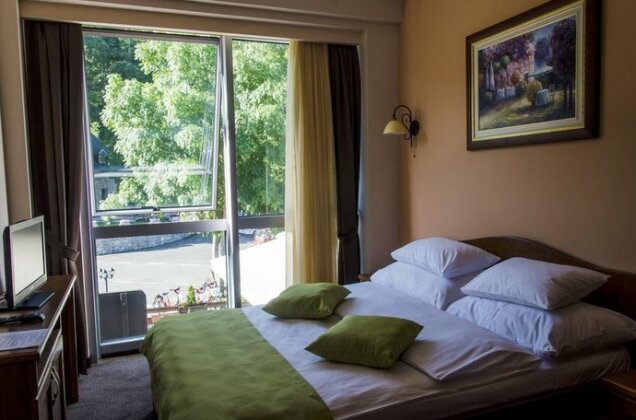 Hotel Monte Rosa Cetinje - Photo3