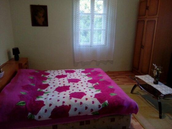 Vujovic Guest House - Photo3