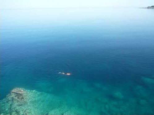 Villa Vito - Photo3