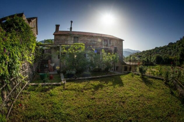 Lepetane Green Escape - Photo3