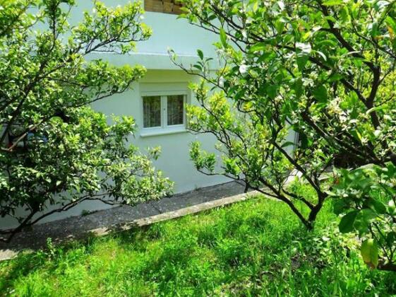 Apartment Pavle - Photo2
