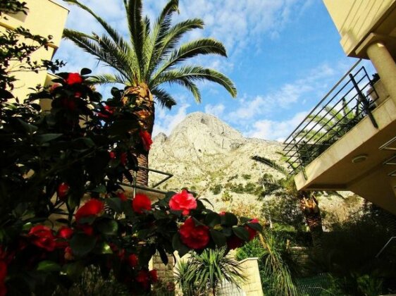 Palma Apartments - Photo3