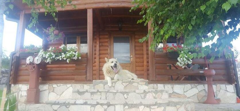 Holiday Home Zoric - Photo2