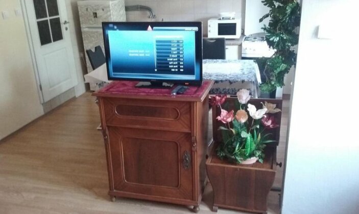 Apartment Villa Venezia - Photo3