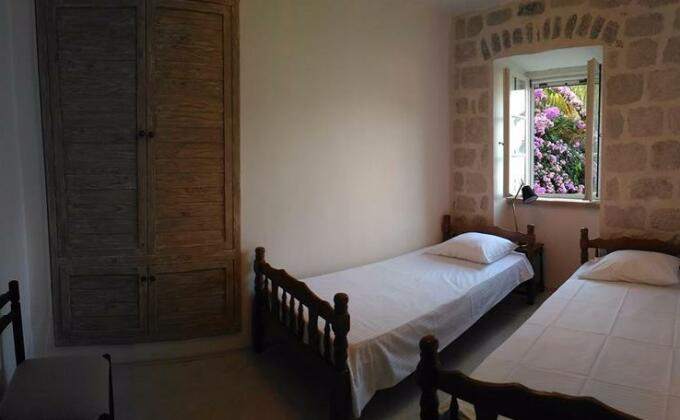 Stone House Petra - Photo4