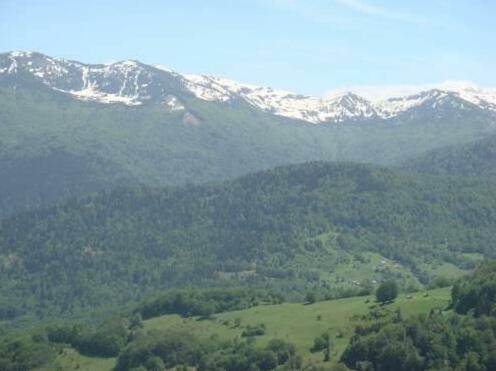 Contry House Hoti Plav - Photo2