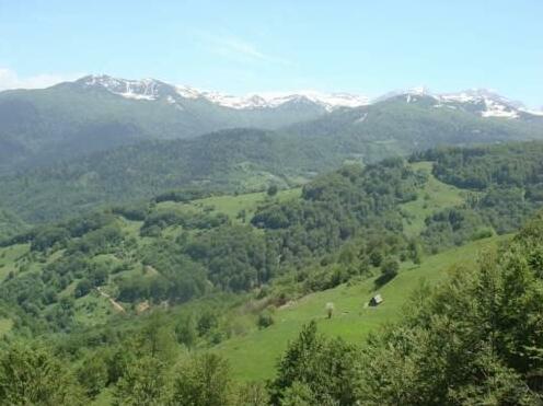 Contry House Hoti Plav - Photo3