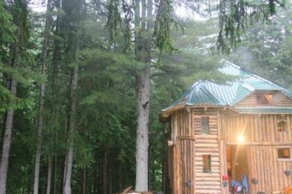 Lodge Between The Pine Trees