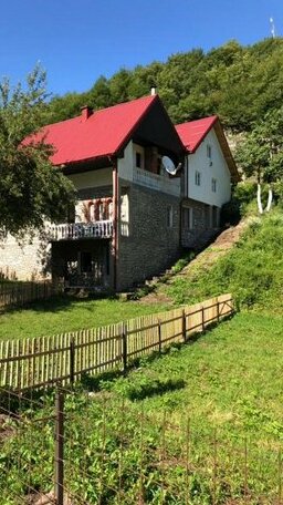 Sofia Guest House Plav - Photo2