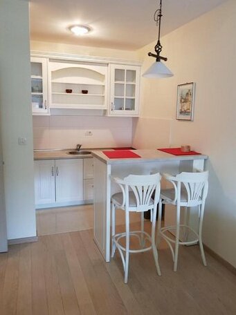 Apartment City Life Podgorica - Photo3