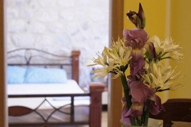 Guest House Jelena - Photo2