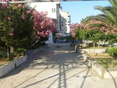 Aleksandar - Photo2