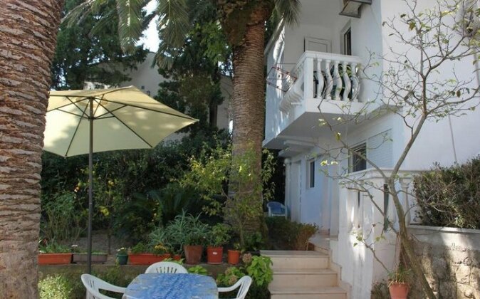Saga Del Mare - Photo2