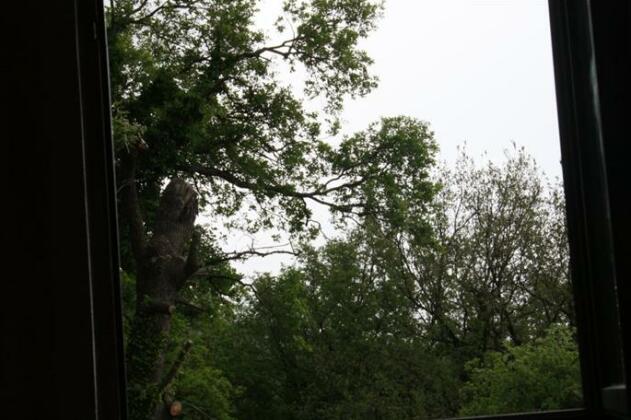 Villa Salamon Guest House - Photo3