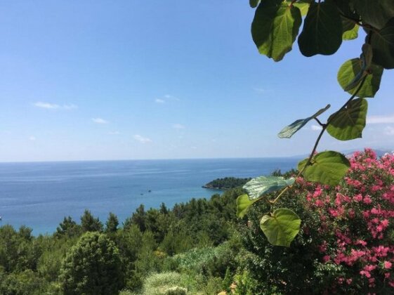 Villa Victoriya - Photo2