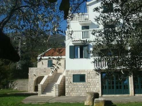 Guest house Dragovic - Photo2