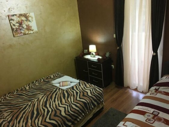 Apartman Mica - Photo5