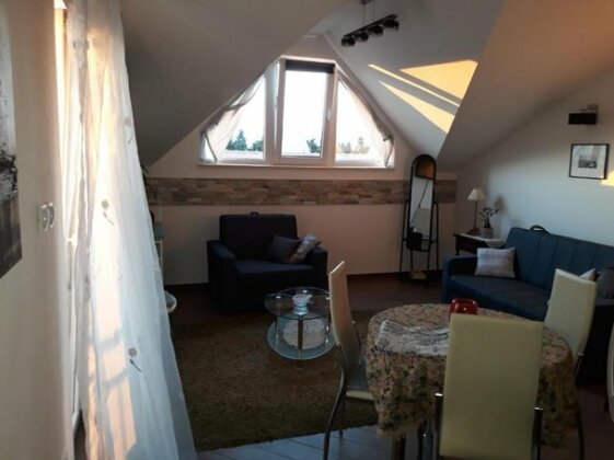 Apartmani SNS - Photo5