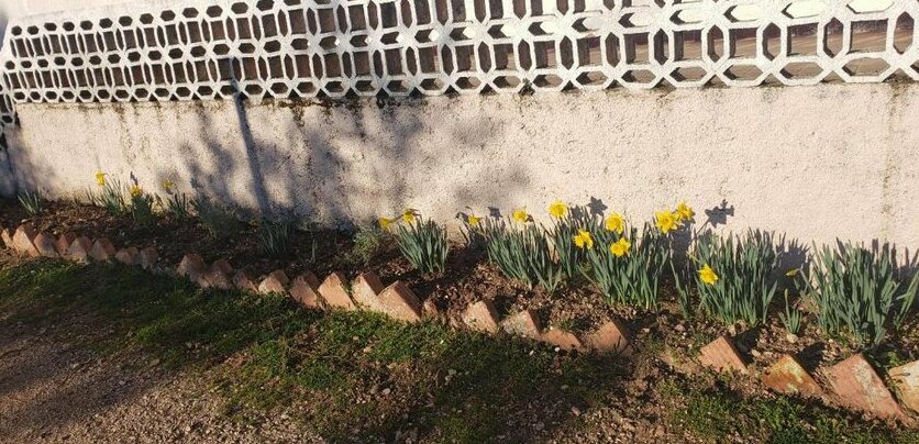 Holiday Home Nives - Photo3