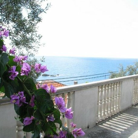 Apartman Markovic Ulcinj - Photo5