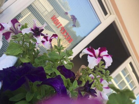 Apartments Delfin Ulcinj - Photo3