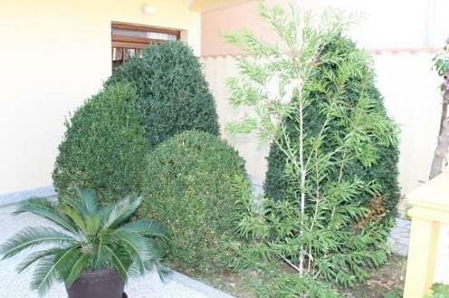 Vila Ekaterina - Photo4