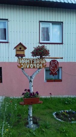  Photo 2