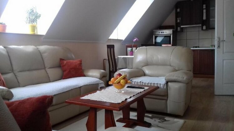 Apartment Popovic Zabljak - Photo5