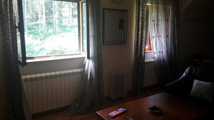 Holiday Home Vujovic Zabljak - Photo3