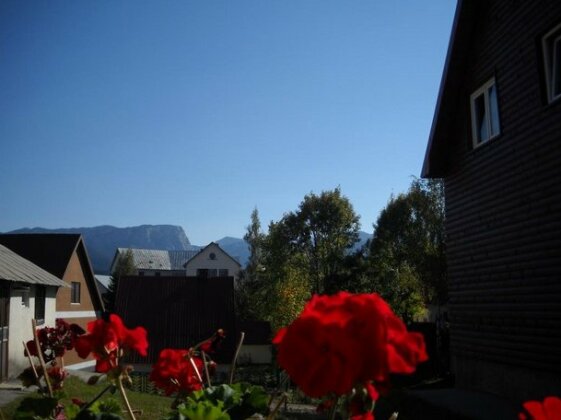 Old Town House Zabljak - Photo5