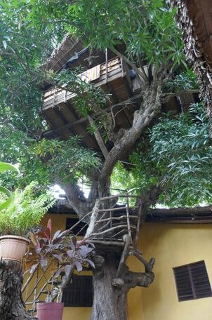 Hotel Ambalamanga - Photo5